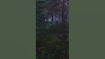 THE FOREST IS ALIVE IN DAYZ!! #dayz #xbox #gaming #clips