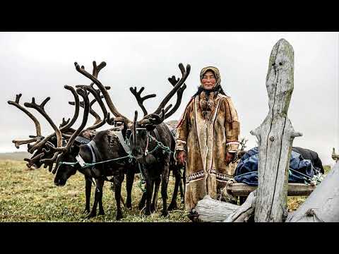 §44 'Северные безлесные