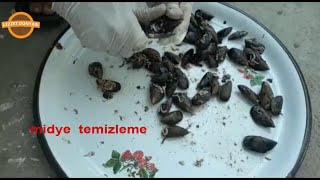 Ev Yapımı Midye Temizleme Ve Yapılışı Midyetava Resimi