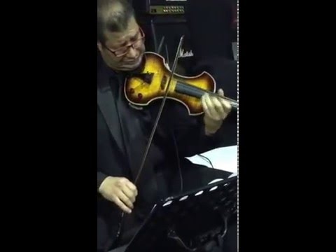 محمود سرور عازف الكمان المصري دبي ٢٠١٦