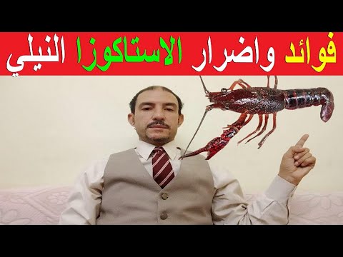 الاستاكوزا النيلي معلومات مهمة جدا عن الاستاكوزا النيلي لابد ان تعرفها قبل تناولها