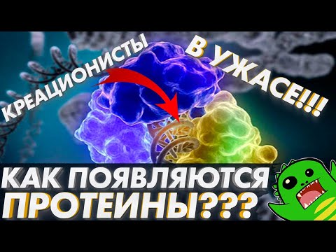 КАК ПОЯВЛЯЮТСЯ ПРОТЕИНЫ? Креационисты в ПАНИКЕ! | Биосинтез белка | Биохимия клетки