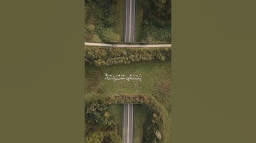 قرآن كريم بصوت جميل #قران_كريم #اكسبلور #راحة_نفسية #quran