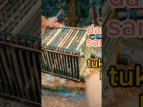 membuat kandang ayam