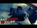 Vídeos Assustadores Extremos Que Não São Recomendados Assistir Sozinho