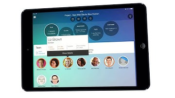 SAP Business ByDesign - Project Management Cockpit