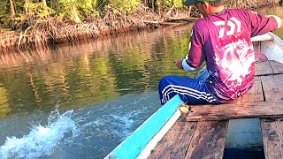 Download Lagu SEMAKIN SORE SAMBARAN IKAN SEMAKIN BESAR..!! MP3 Download Lagu SEMAKIN SORE SAMBARAN IKAN SEMAKIN BESAR..!! MP3