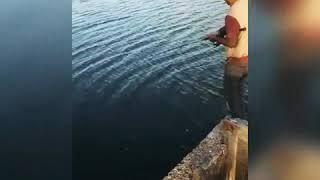 Pesca de los Mendoza