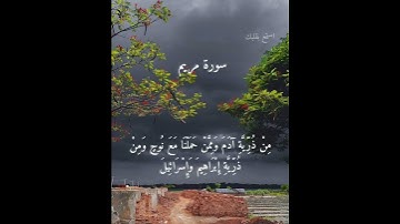 سورة مريم الأية 57--58 #استمع_بقلبك❤❤❤❤❤.  .