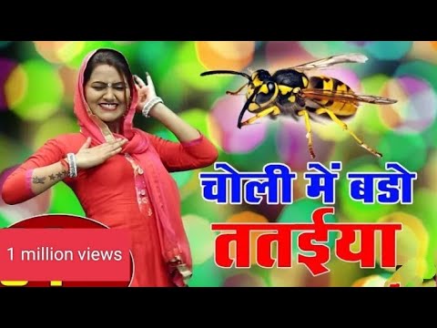 Big wasp in the bodice Shivani Mast Dancedeo 2022 Haryanvi Song 2022 Sivani Ka Thumka