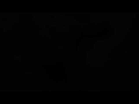 (Visual) Playing Wet Kitty Sounds