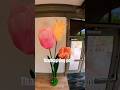 Thanksgiving point #flowers #floral #flower #tulip #tulips #viral #pov #subscribe #reblooming