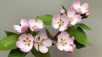 ABC TV | How To Make Apple Blossom Paper Flower With Shape Punch - Craft Tutorial