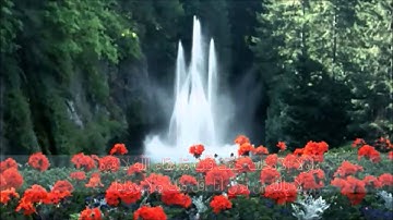 اجمل آيات سورة الكهف وتلاوة بديعة للقارئ معاذ زغبي