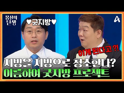 <strong>지방을</strong> 지방으로 청소한다?! 이름하여 &amp;#39;굿 지방 프로젝트&amp;#39;! | 몸신의 탄생 10 회