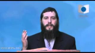 הדף היומי - מסכת עירובין דף ס"ד