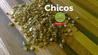 Authentic Chicos Recipe: A Delicious Recipe for Roasted Sweet Corn Kernels: By Letitia Montoya