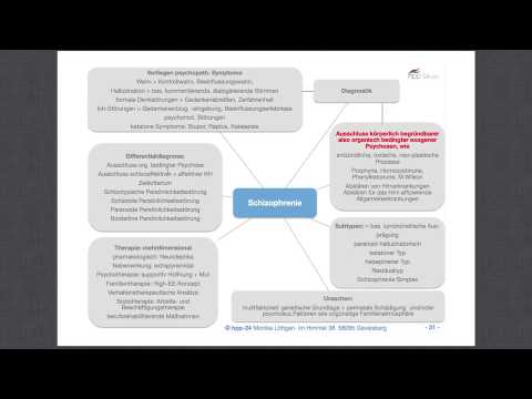 Video: Kognitive Verhaltenstherapie Bei Schizophrenie - Ergebnisse Für Funktion, Stress Und Lebensqualität: Eine Metaanalyse