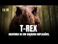 Por que o T. rex era o predador supremo?