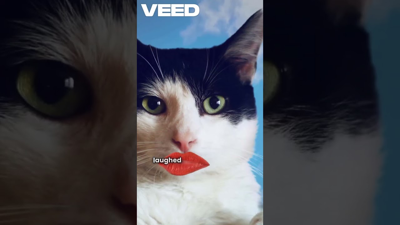 Practice English - level A1 -A2 "Talking Cat Adventure "