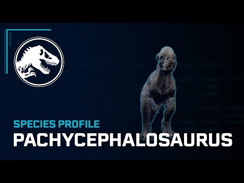 Species Profile - Pachycephalosaurus