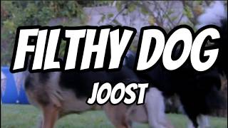 FILTHY DOG — JOOST | Deutsch & English Lyrics