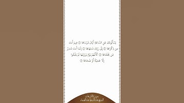 تلاوة في دقيقة سورة النازعات الآيات من ٤٢ إلى ٤٦ الشيخ عبدالباسط عبدالصمد