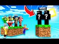 2 NUOVI PARTECIPANTI! - BIG SKYBLOCK MINECRAFT Ep.9