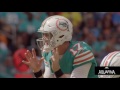 Dolphins Daily: Episode 173