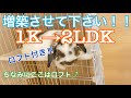【DIY】百均でできる【うさぎ小屋】簡単！ゲージの増築【二階建て】ダイソー商品だけで二階を作ったよ！【ペット】