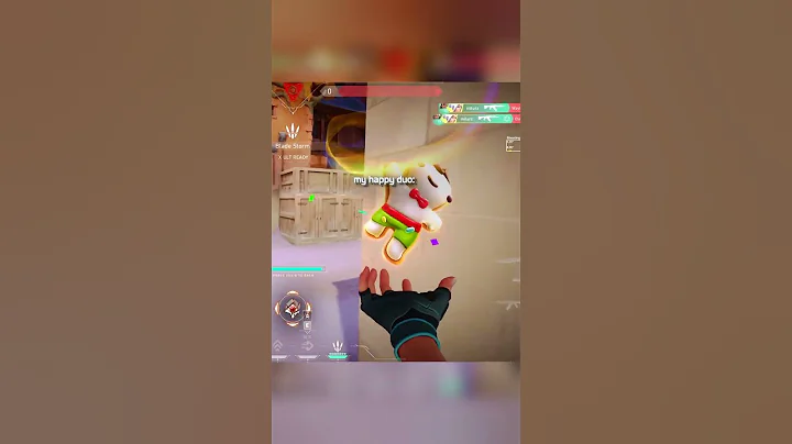 Valorant But My Teammates Are Silly Goobers