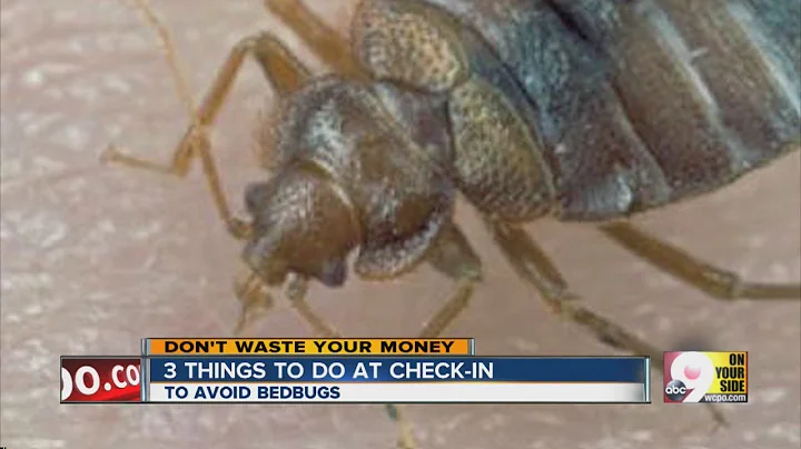 Avoid bed bugs at hotels