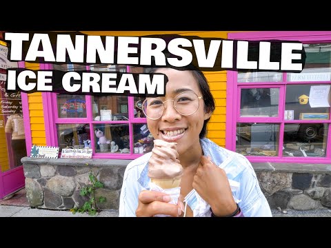 Tannersville NY Pit Stop Heading Home - Ice Cream & Donuts