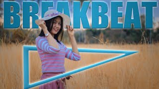 DJ BREAKBEAT INGAT INGAT LUPA LUPA 2021 MIXTAPE TERBAIK