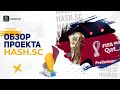 🔥Обзор платформы HASH SC ⚡️ Зарабатывайте каждый день на полном пассиве