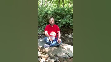 مقطع من سورة القصص بصوت القارئ اسامه يعقوب