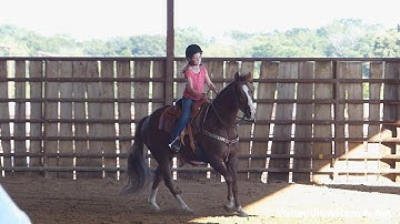 Call For Honor - playday warm up! - ValleyViewRanch.net