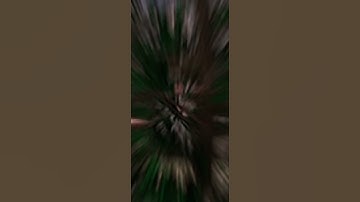 My first (gtag) Edit  #gorillatag #edit #shorts