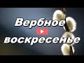 Вербное воскресение!