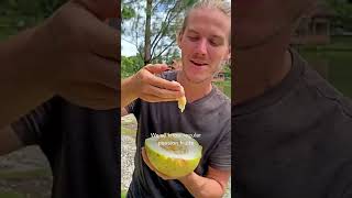 Top 5 Weirdest Fruits (Vietnam Edition)