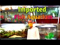 Imported Fish Aquarium at Fish Aquarium Home Laxmi Nagar