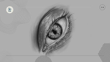 how to draw a realistic eye using XP pen or Wacom tablet