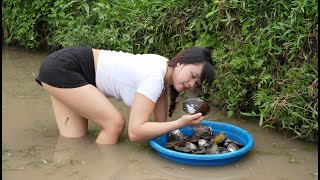 Harvesting mussels in ponds for sale and help parents harvest rice