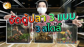 จัดตู้ปลา 3 แบบ 3 สไตล์ - SNC FISHROOM #ตู้ปลา #จัดตู้ปลา #จตุจักร