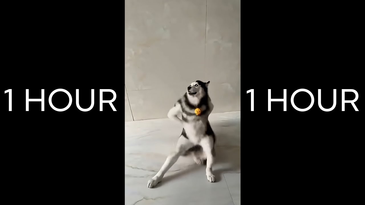 Husky Dance Trend - Ichu Ichu  - Vedi | Vijay Antony, Sangeetha Rajeshwaran (Full Song) [1 Hour]