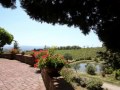 CHIANTI CLASSICO, prestigiosa azienda vinicola