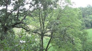 014 John Knepper Dubuque