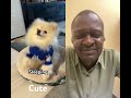 #funny #cute #pets #puppy #dog #viral