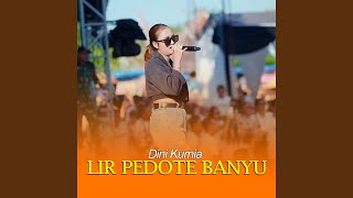 Download Lagu Lir Pedote Banyu