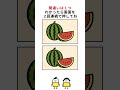 スイカの絵の間違い探し#脳トレ #間違い探し